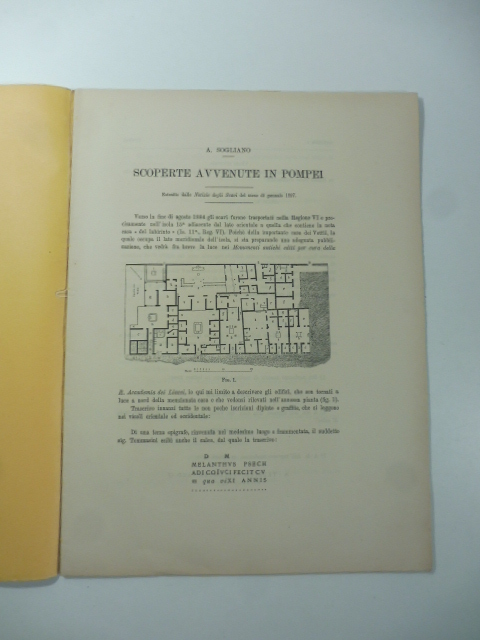 Scoperte avvenute in Pompei. Estr. dalle Notizie degli scavi. Gennaio 1897